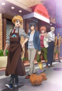 Ameiro Cocoa