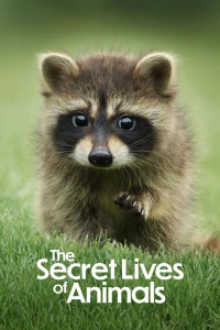 The Secret Lives Of Animals