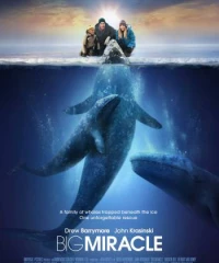 Big Miracle