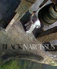 Black Narcissus