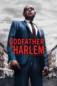 Godfather Of Harlem (Season 1)