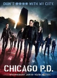 Chicago P.D. (Season 1)
