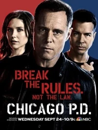 Chicago P.D. (Season 2)