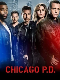 Chicago P.D. (Season 4)