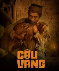 Cậu Vàng