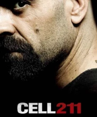 Cell 211