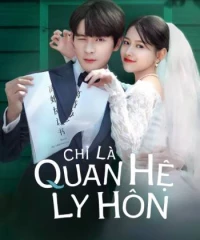 Chỉ Là Quan Hệ Ly Hôn