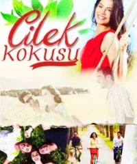 Cilek Kokusu