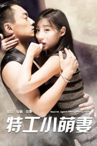 Secret Agent and His Beautiful Wife