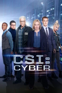 CSI: Cyber (Season 1)