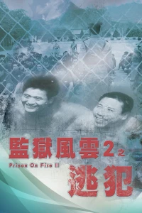 Prison On Fire (Season 2)