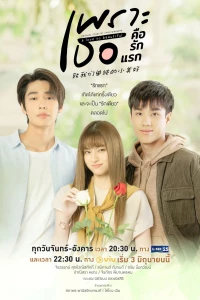 A Love So Beautiful (Thailand)