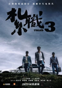 Triad 3: The Unwavering Brotherhood
