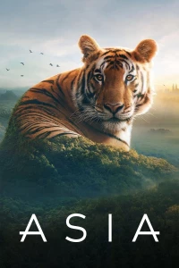 Phim Khám Phá Châu Á