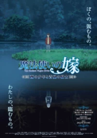 Bride: The Boy from the West and the Knight of the Blue Storm