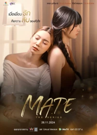 เมท เดอะ ซีรีส์