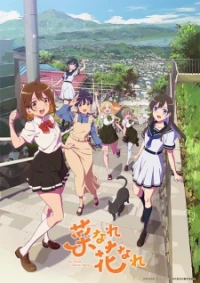 Cheer for You