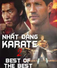 Nhất Đẳng Karate 2