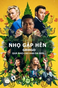 Gringo