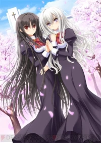 The Maiden is Falling in Love With the Elder Sister