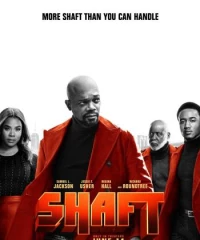 Shaft