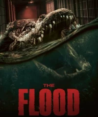 The Flood