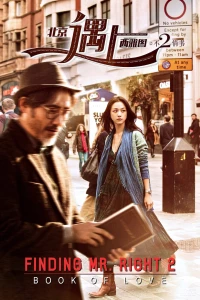 Finding Mr. Right 2 : Book Of Love