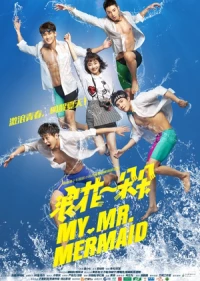 My Mr.mermaid